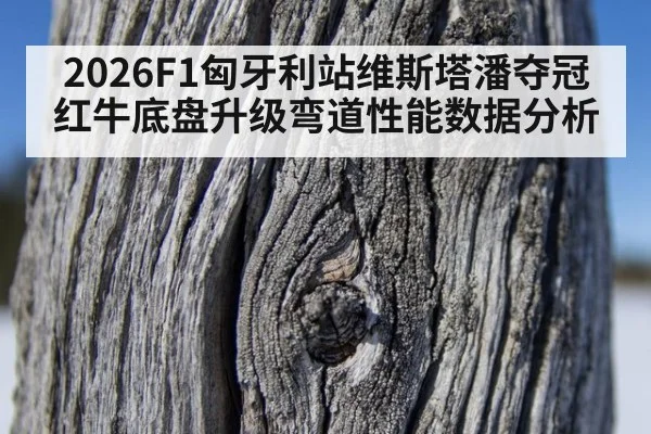 2026F1匈牙利站维斯塔潘夺冠红牛底盘升级弯道性能数据分析